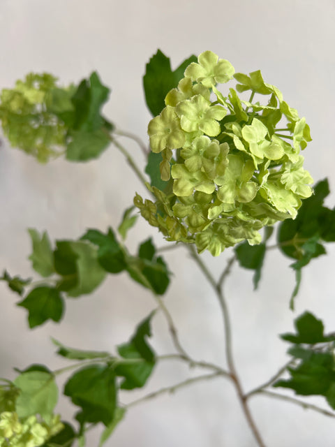 Sneeuwbal tak groen 167 cm