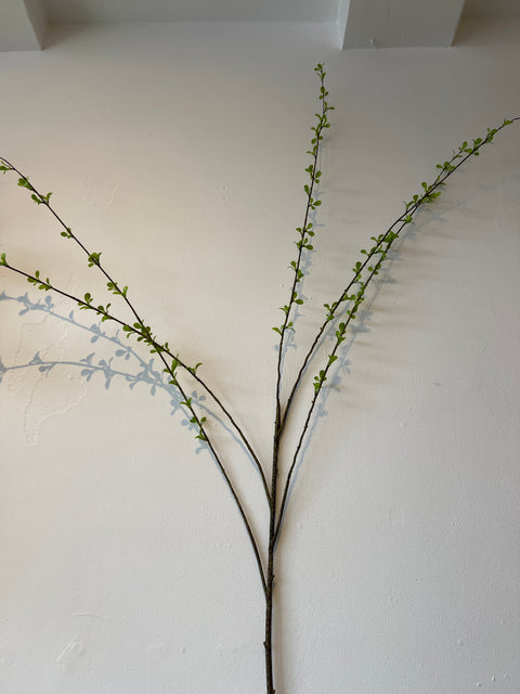 Bladtak groen 170 cm