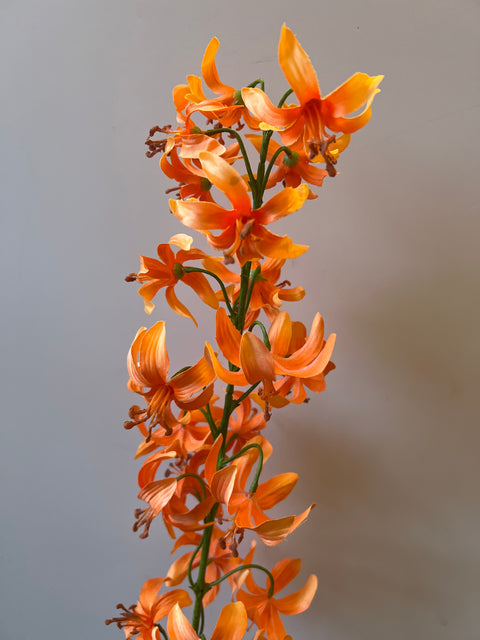 Lily Martagon 105 cm oranje