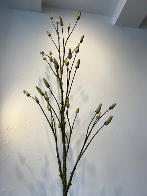 Magnolia Bud tak mosgroen 180 cm