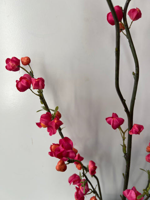 Kardinaalsmuts roze/oranje  115 cm