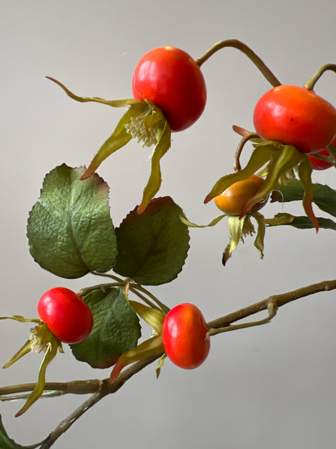 Rozenbottel tak 105  cm oranje/geel ronde bottels