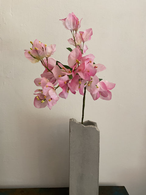 Bougainvillea roze, groen blad  70 cm