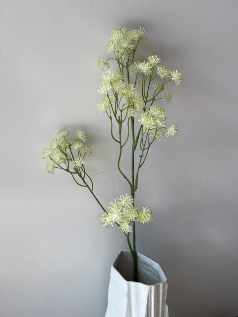 Aralia tak wit/groen 84 cm
