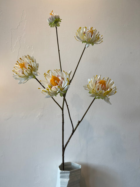 Dahlia x5 room wit 103 cm
