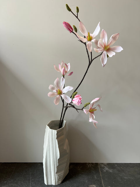 Magnolia tak wit/roze 100 cm