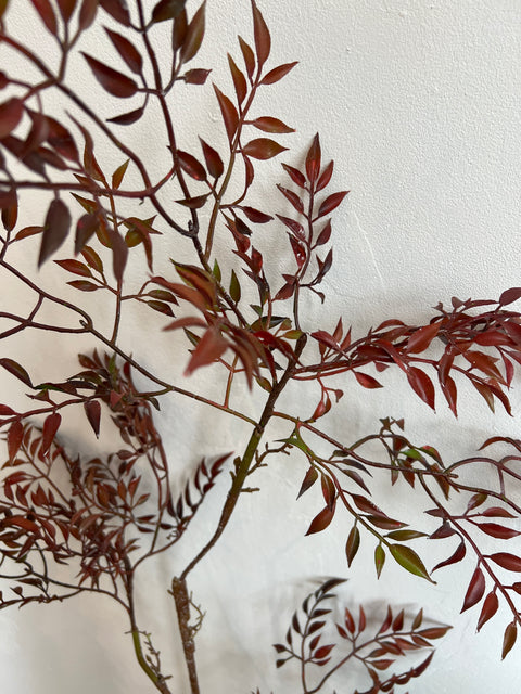 Blad tak Mahonie bordeaux 140 cm