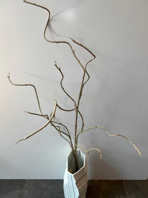 Tak groot bruin 134 cm