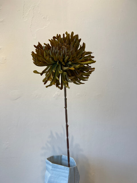 Chrysant  groen  72 cm