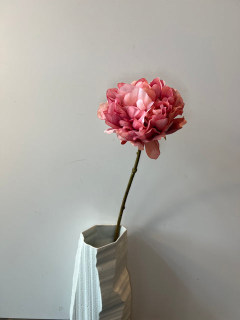 Pioenroos mauve 64 cm