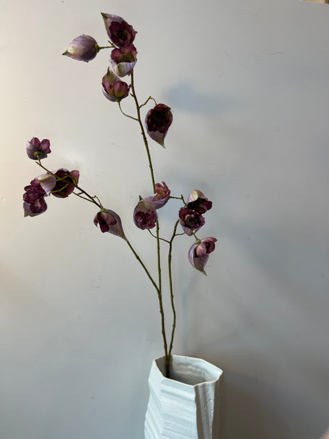 Monnikskap lila 94 cm