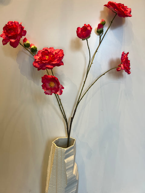 Rozentak beauty  120 cm