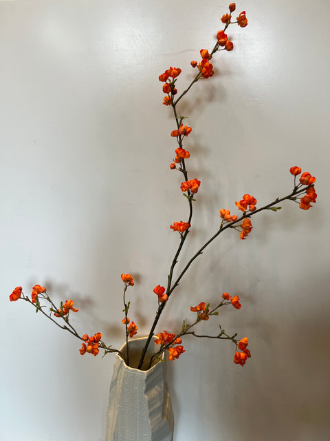 Kardinaalsmuts oranje  115 cm