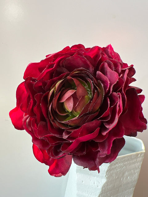 Ranonkel  51 cm donker rood