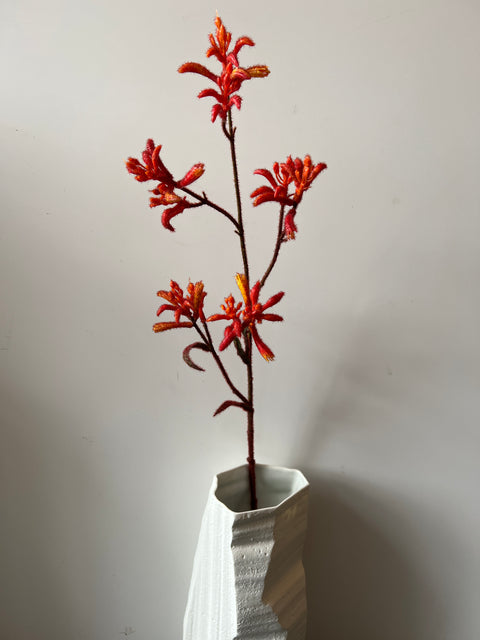 Kangoeroepoot tak rood  76 cm