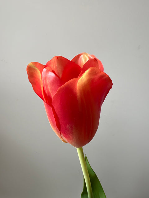 Tulp steel oranje 72 cm