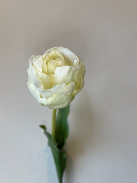 Tulp steel  wit  66 cm