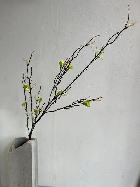 Blad takje tak, zwart/blad lichtgroen  90 cm