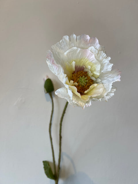 Papaver spray  x2  74 cm crème