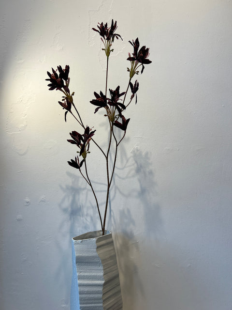 Nerine spray  bordeaux  100 cm
