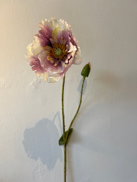 Papaver spray  x2  74 cm crème/paars
