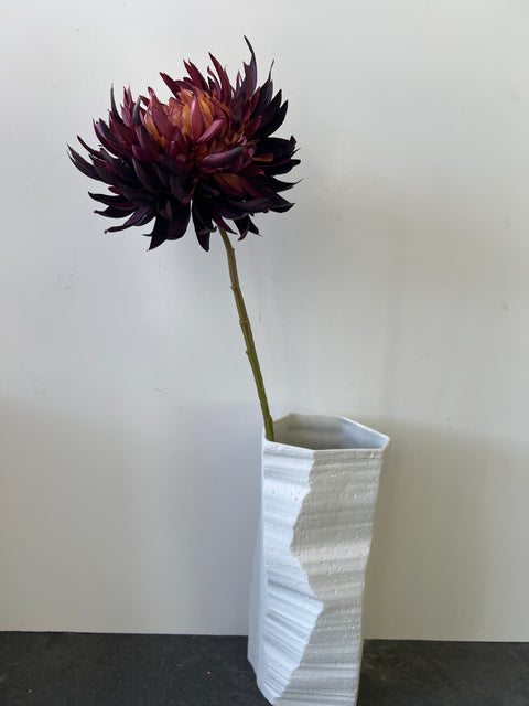 Chrysant  MUM donker bordeaux  62 cm