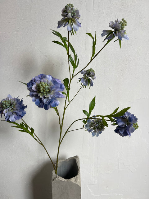 Scabiosa spray blauw 113 cm