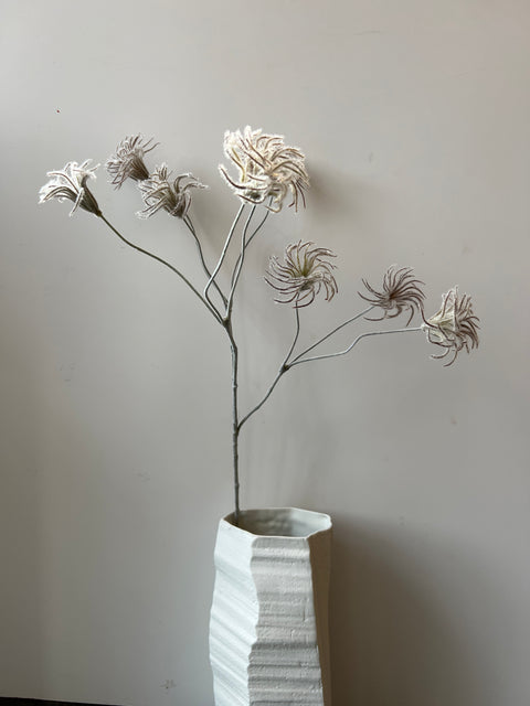 Clematis zaden tak  zilvergrijs 71 cm