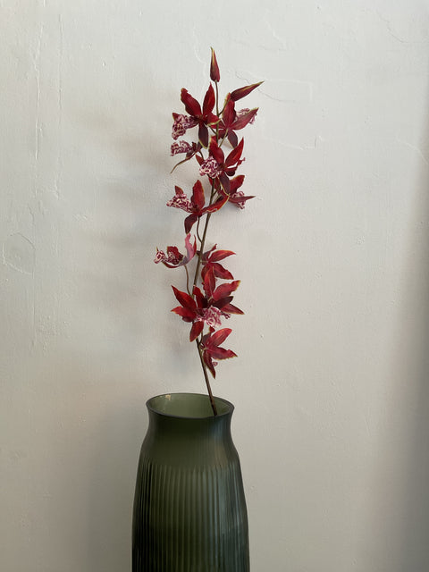 Orchidee steel rood 109 cm