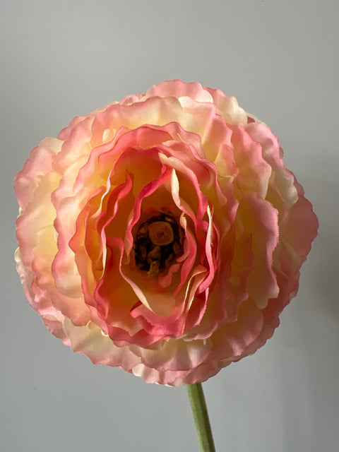 Ranonkel groot 65 cm peach