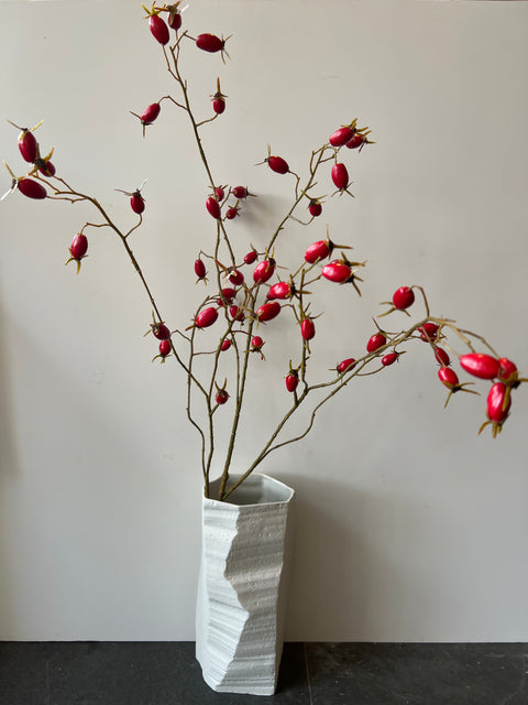 Rozenbottel tak 106 cm rode bottels