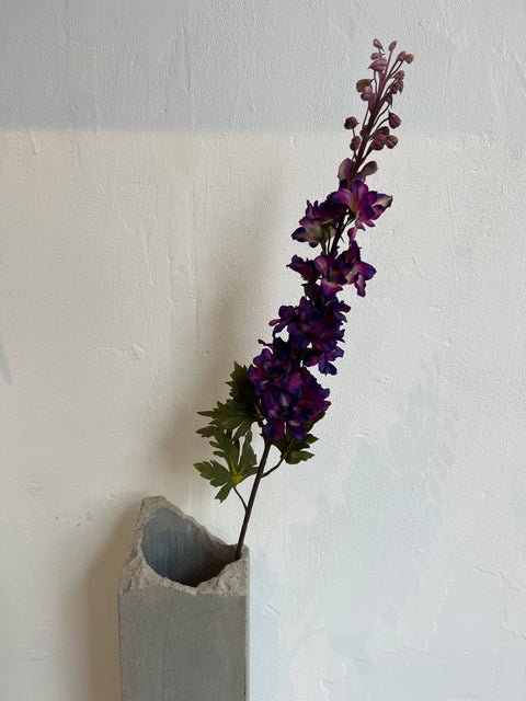 Delphinium  donker paars  78 cm