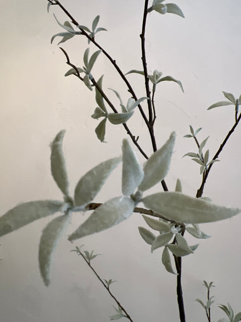 Blad tak grijs/groen  160 cm