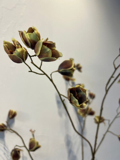 Fritillaria tak bruin/groen 123 cm