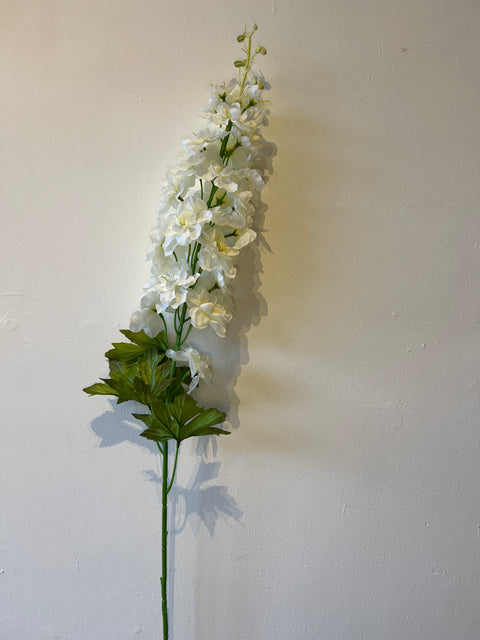 Delphinium  wit  98 cm