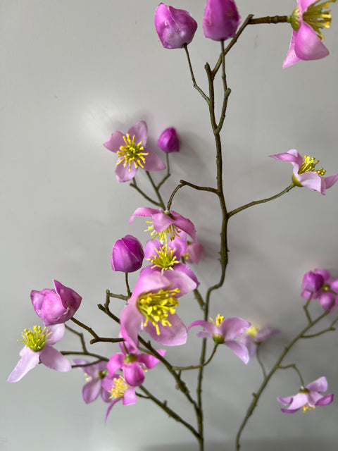 Thalictrum roze 78 cm