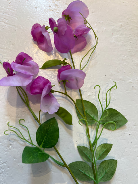 Lathyrus spray met peultje x2  lila  75 cm