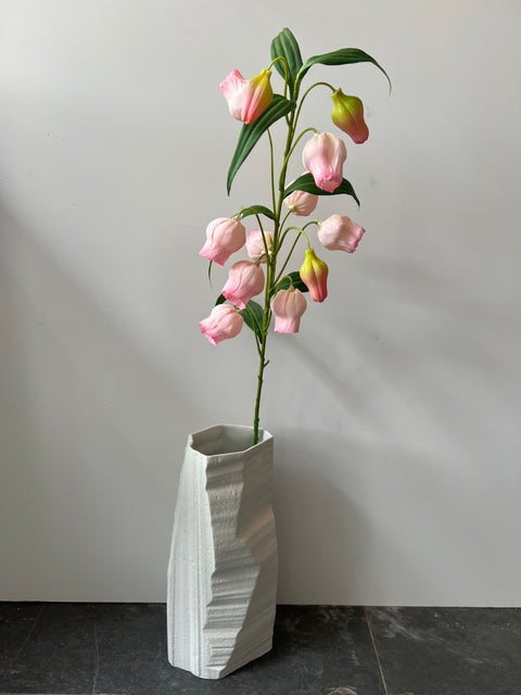 Sandersonia (klokjes)  97 cm  roze