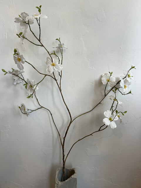 Kornoelje tak wit 120 cm