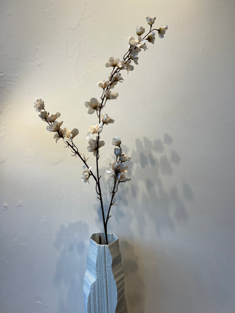 Delphinium  crème  110 cm