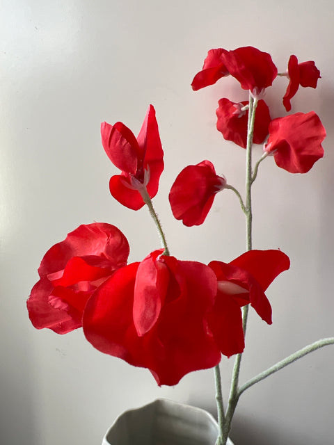 Lathyrus spray  rood   66 cm