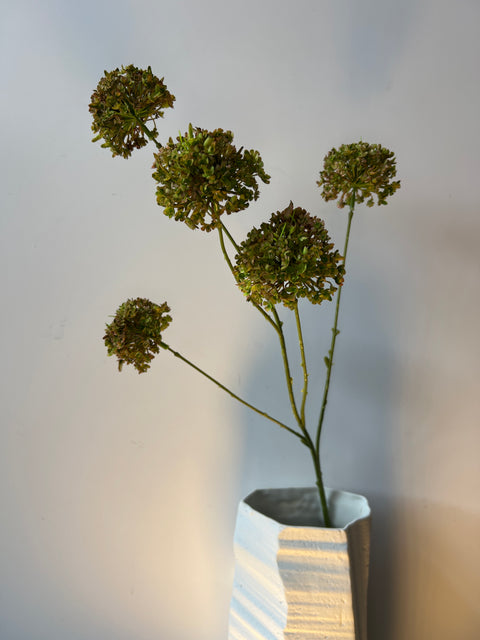 Sneeuwbal tak x5 groen 75 cm