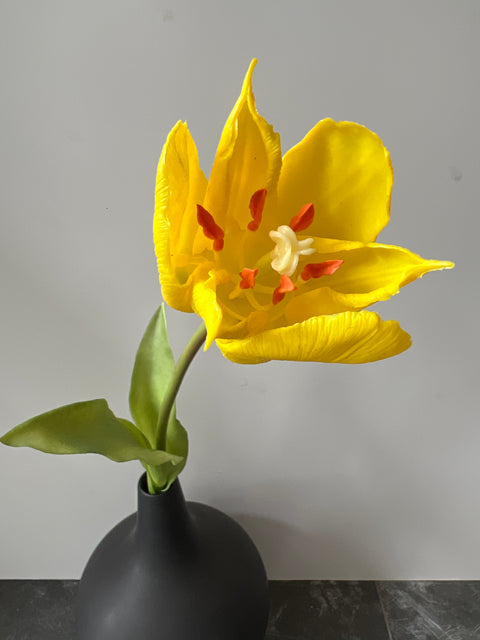 Tulp frans  48 cm geel