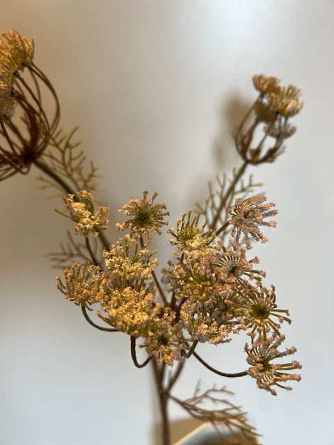 Dille tak x3 bruinig/roze  82 cm