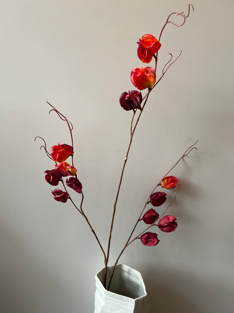 Physalis tak donker rood  120 cm