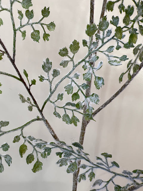 Varen tak Maiden Hair 106 cm snowy groen