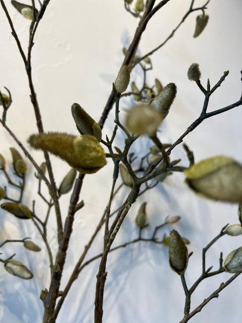 Magnolia Bud tak groen 184 cm
