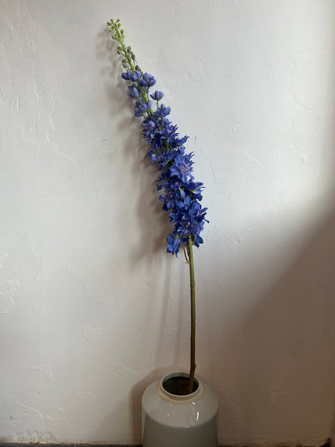 Delphinium lang 135 cm blauw