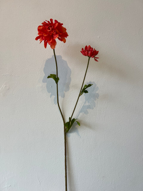 Zinnia bloem + knop rood 63 cm