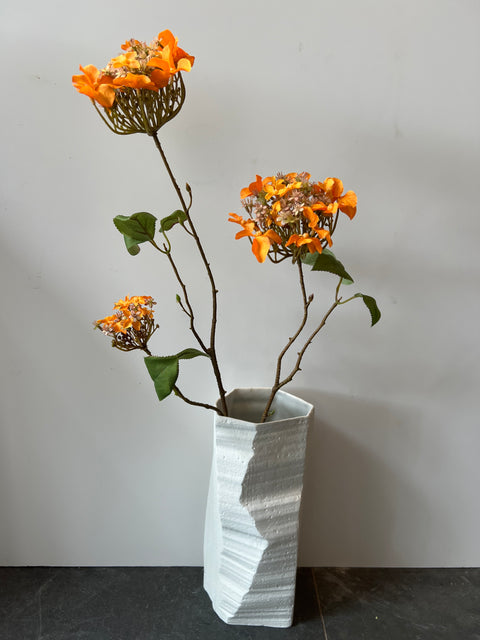 Hortensia tak x3 oker 70 cm